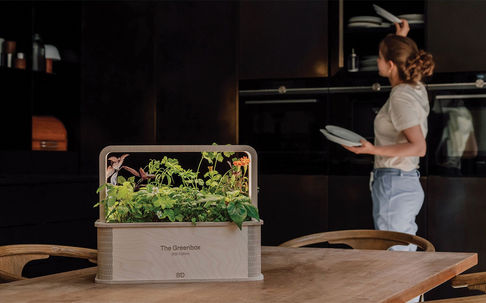 Berlin Green Greenbox planted with herbs on a kitchen table