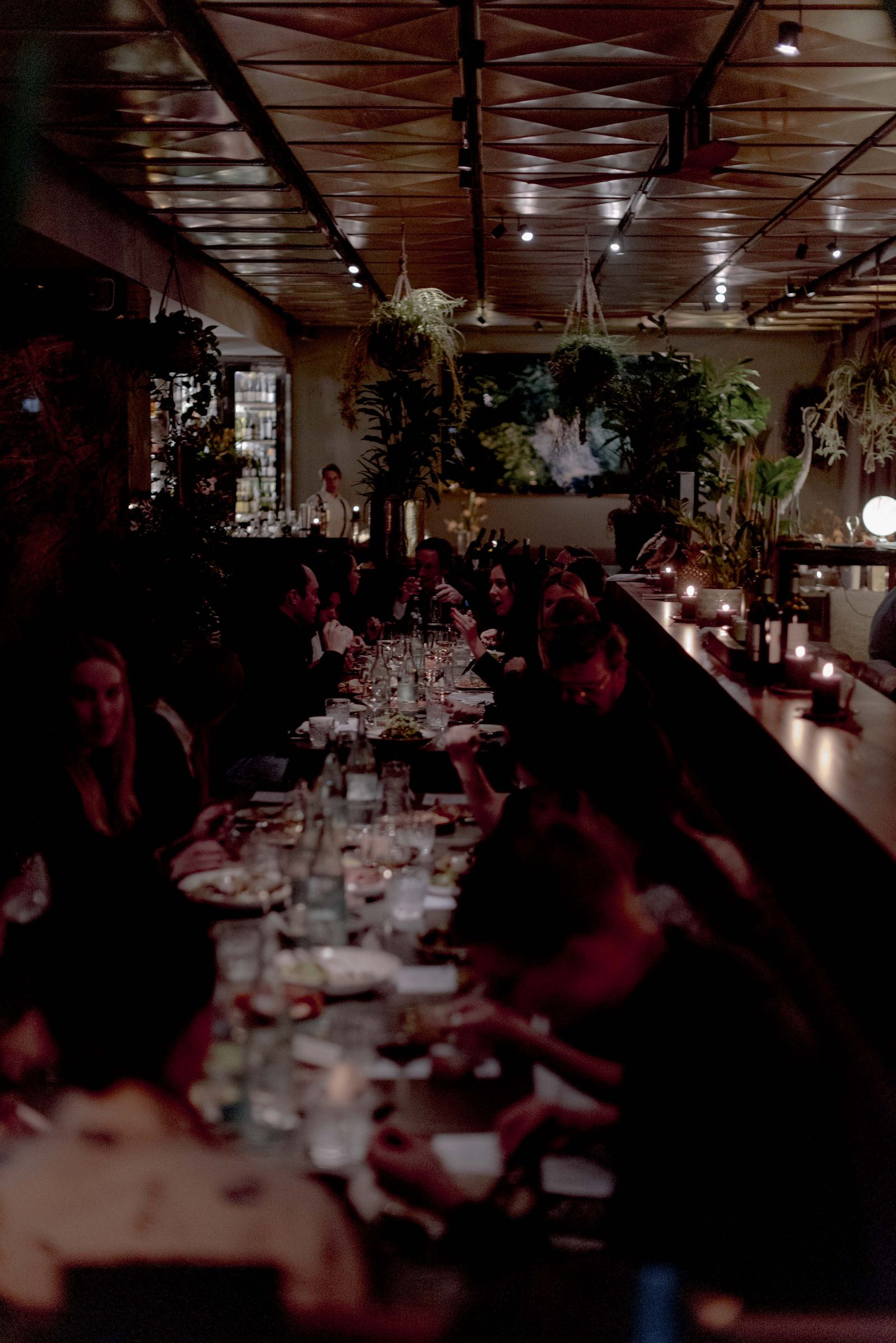 Guests at a long candlelit table in a dark, plant-filled dining room, CLOSED dinner 2018