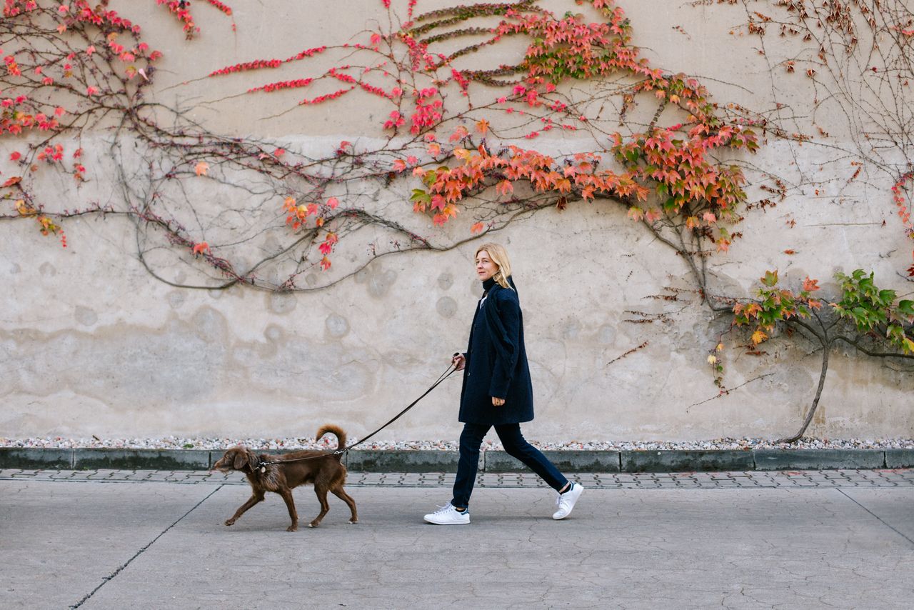 Architect walking her dog past a wall of red ivy in Berlin