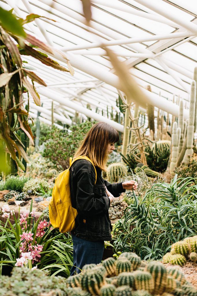 Freunde von Freunden portrait of a woman with a yellow backpack in a cactus glasshouse