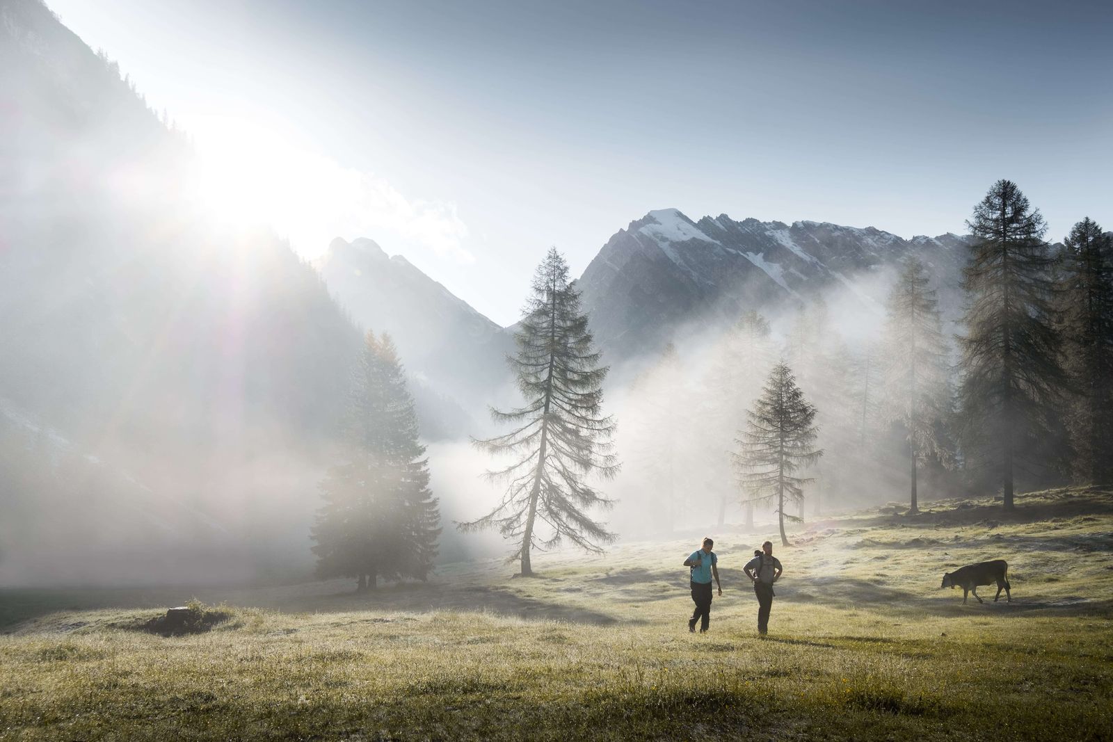 Two hikers crossing a misty alpine meadow at sunrise