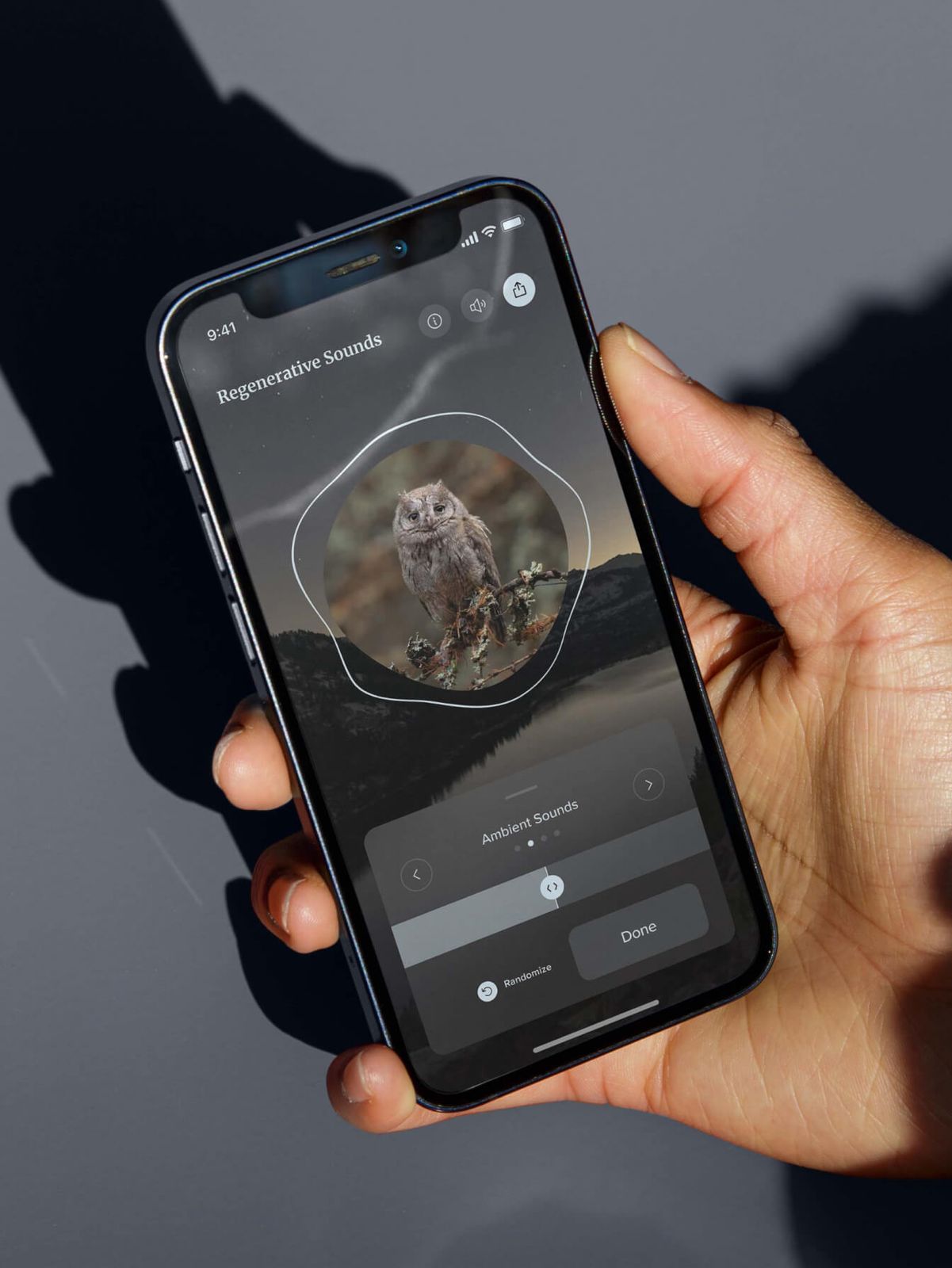 Hand holding a phone running the Regenerative Sounds experience