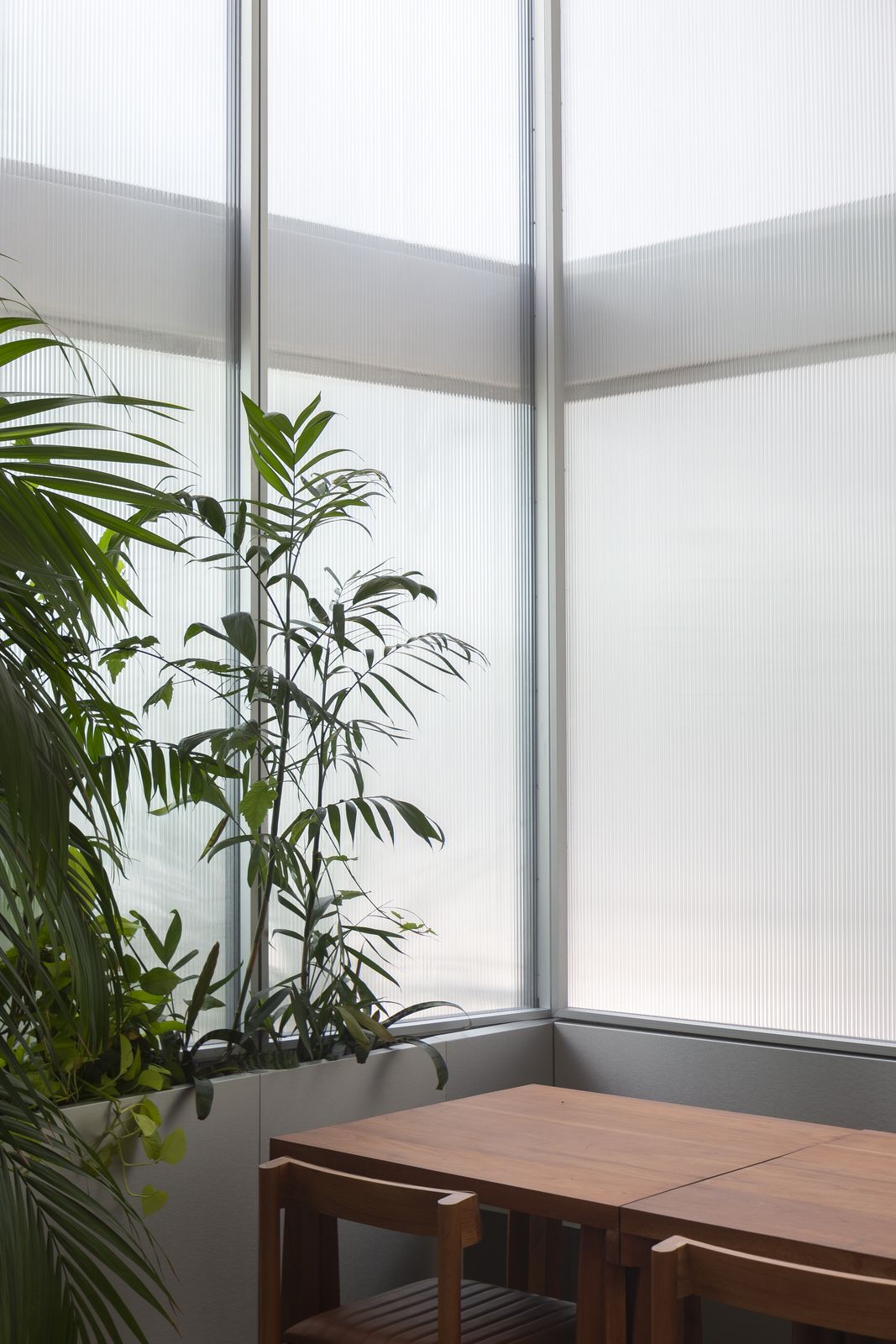 Asadero dining room with plants, wooden tables and a ribbed glass wall