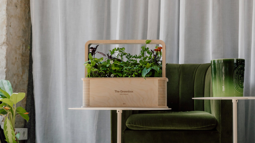Berlin Green — brand strategy visual