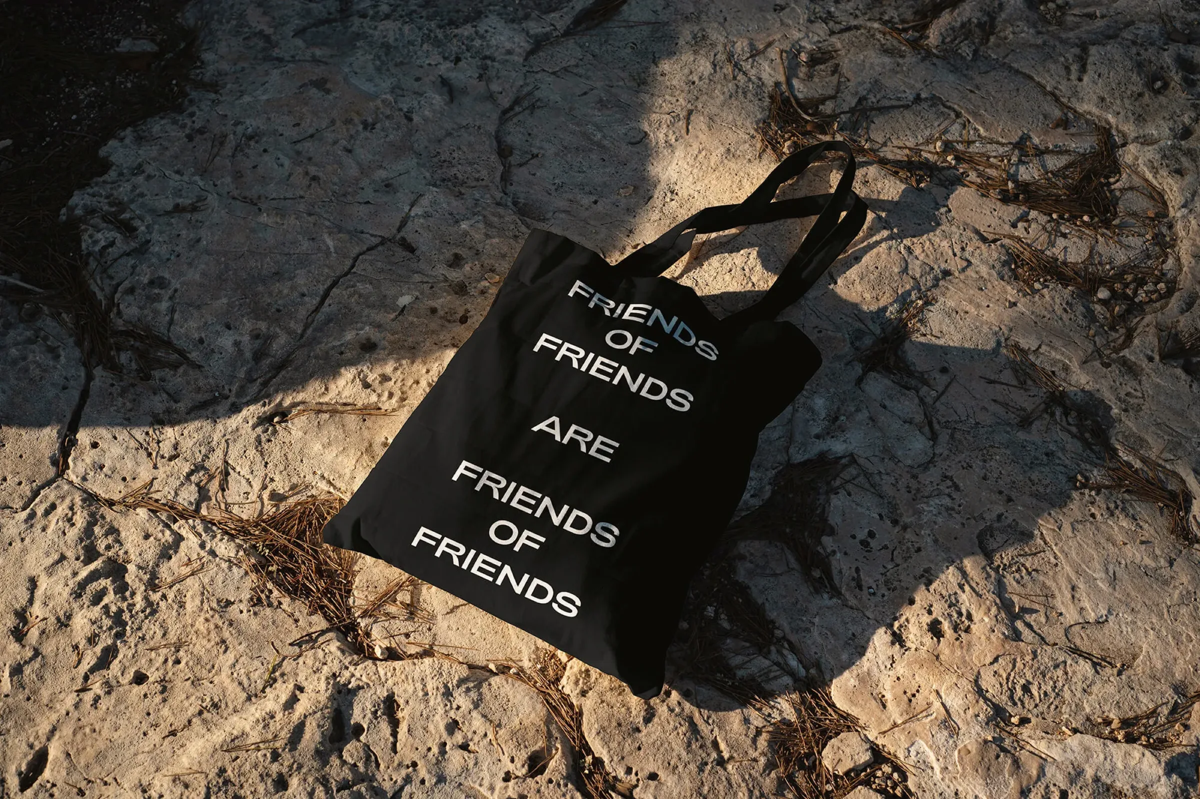 Friends of Friends