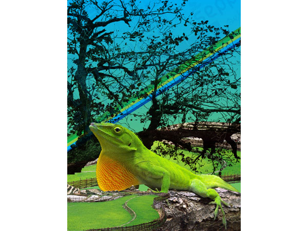 CMYK poster