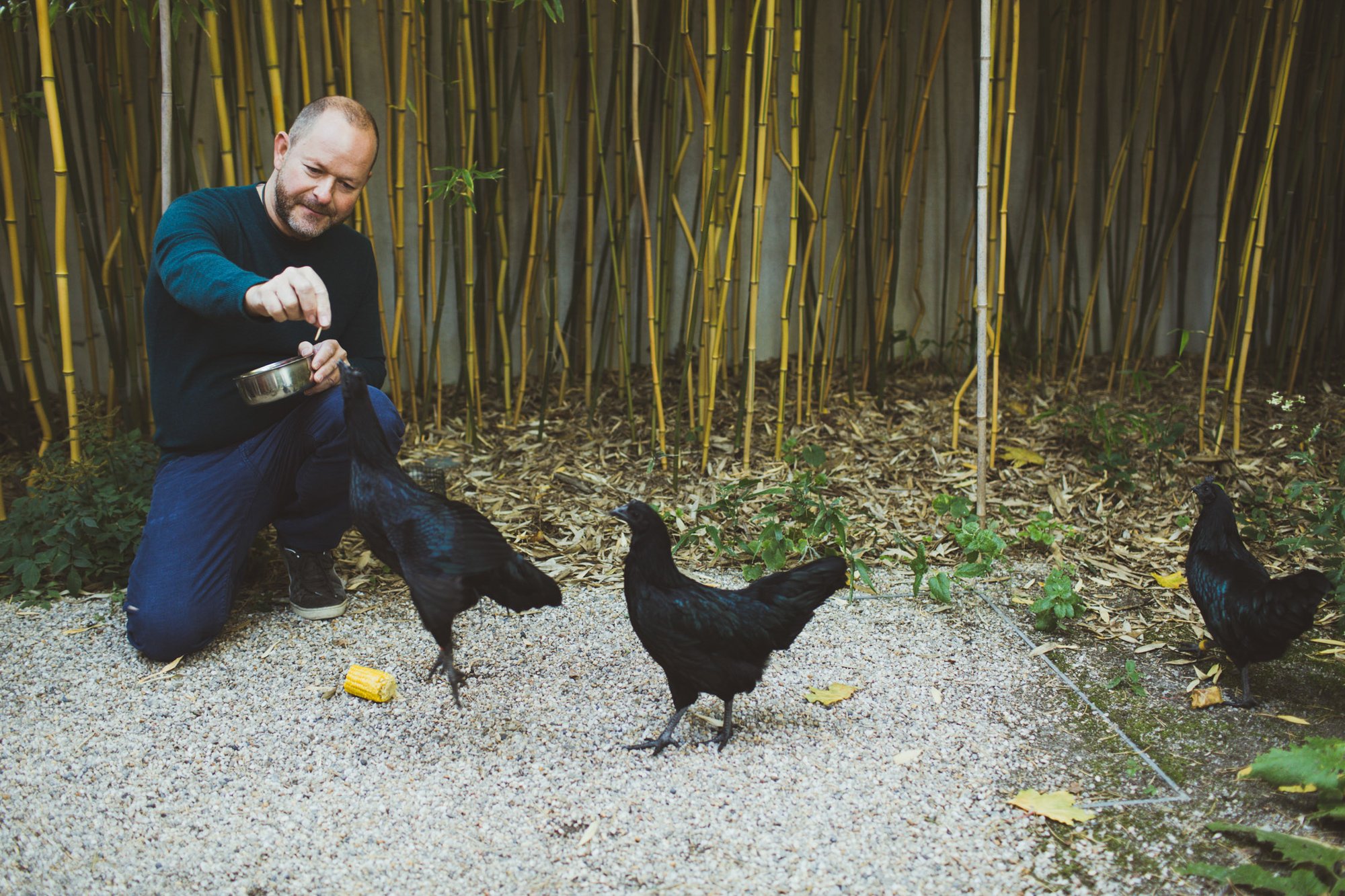 Juerg Judin — Courtyard garden, Berlin, for Siemens Home