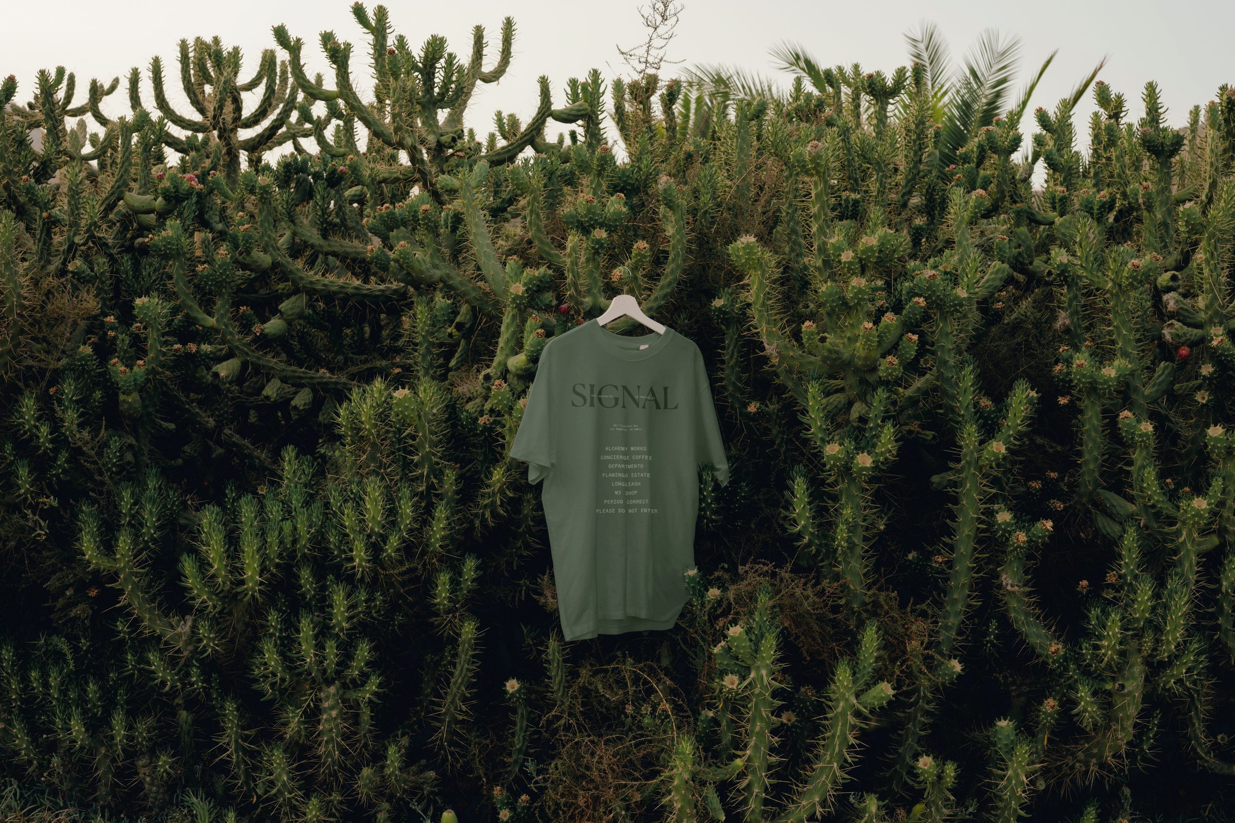 Signal LA t-shirt