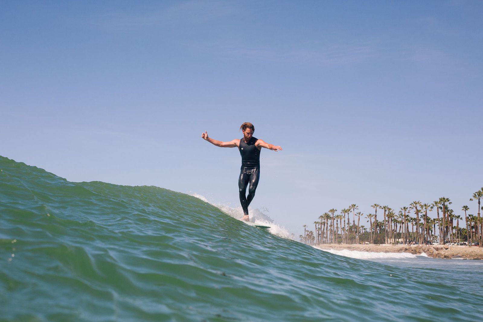 Longboarder riding a green wave at Ventura, palm trees on the shore