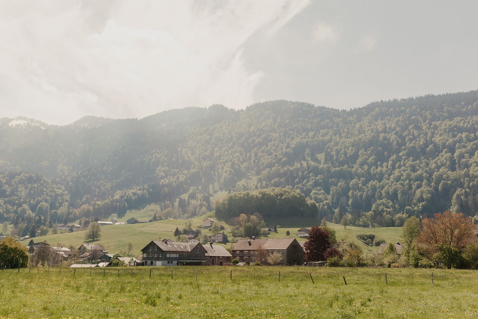 Village below forested hills in a Vorarlberg valley